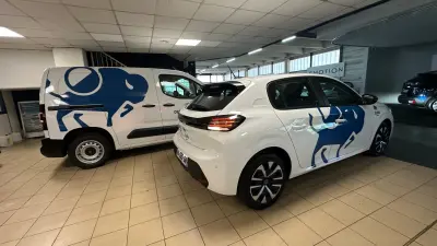 Derichebourg – flotte Peugeot